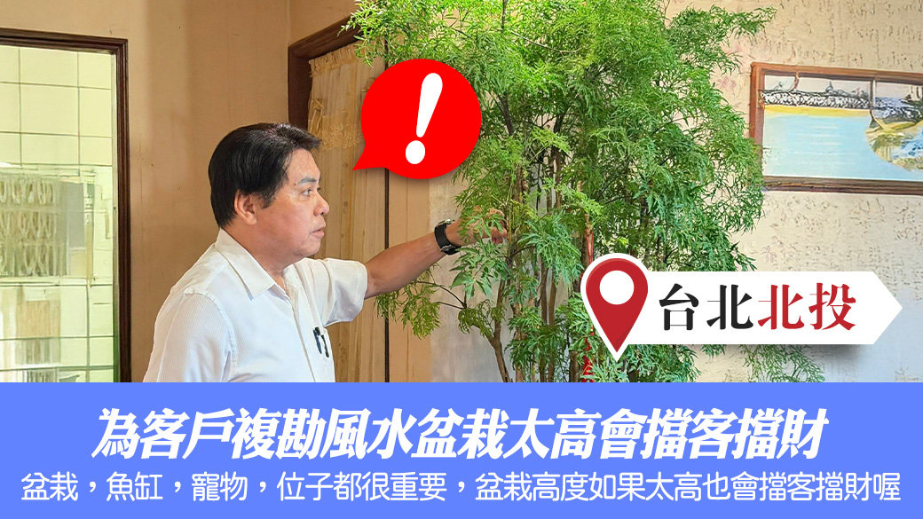 為客戶複勘風水盆栽太高會擋客擋財#張定瑋老師風水勘嶼