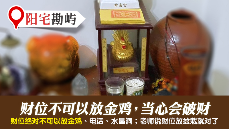 财位不可放金鸡会破财---张定玮老师风水勘屿