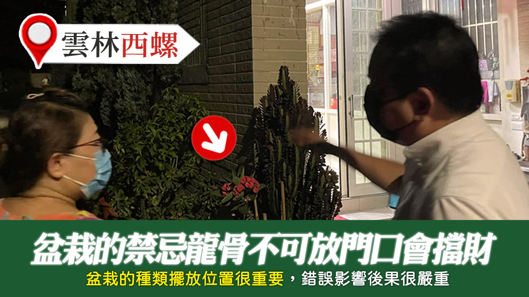 雲林西螺-盆栽的禁忌龍骨不可放門口會擋財---張定瑋老師風水勘嶼