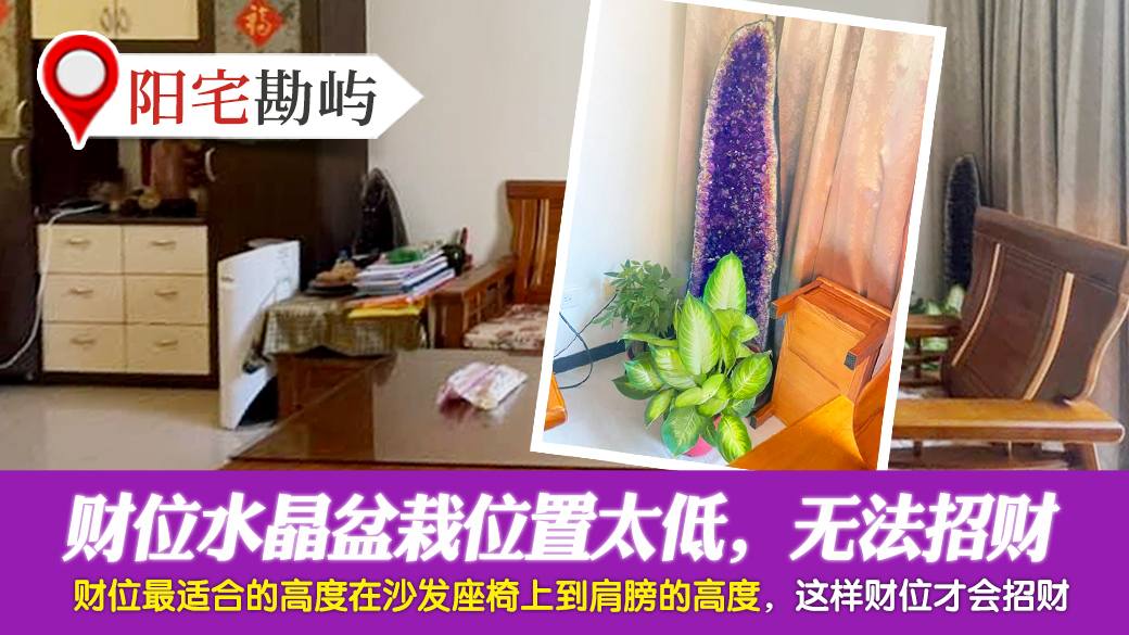 财位摆上水晶盆栽位置太低会招不了财---张定玮老师风水勘屿