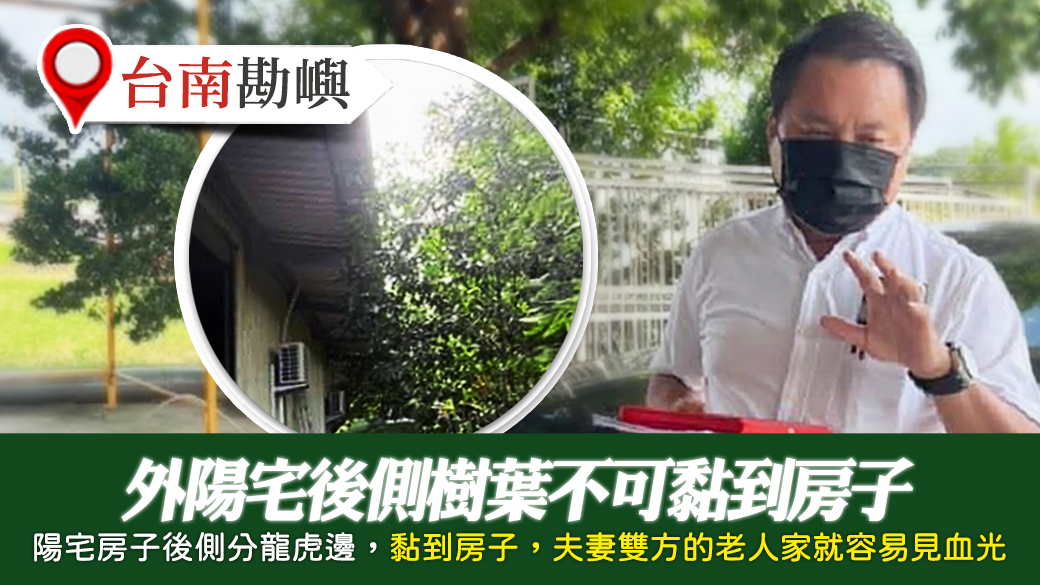 台南-外陽宅後側樹葉不可黏到房子長輩健康會特別差---張定瑋老師風水勘嶼