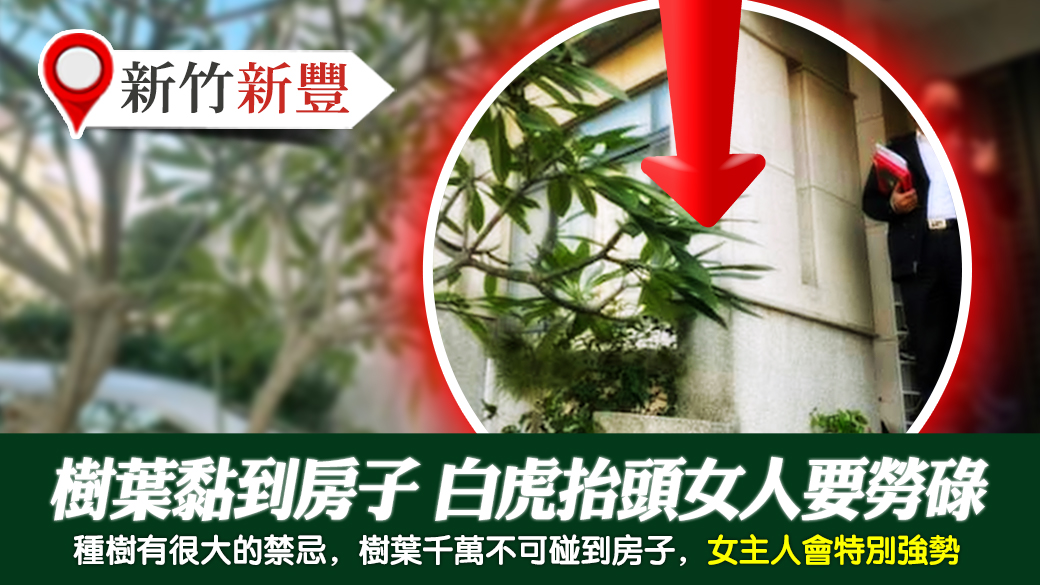 新竹新豐-樹葉黏到房子白虎抬頭女人要勞碌---張定瑋老師風水勘嶼