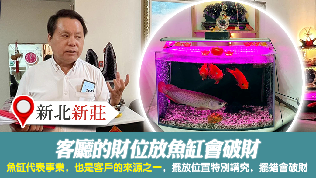 新北新莊-客廳的財位放魚缸會破財---張定瑋老師風水勘嶼