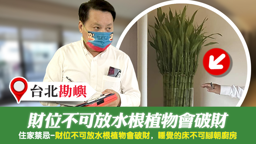 台北-財位不可放水根植物會破財---張定瑋老師風水勘嶼