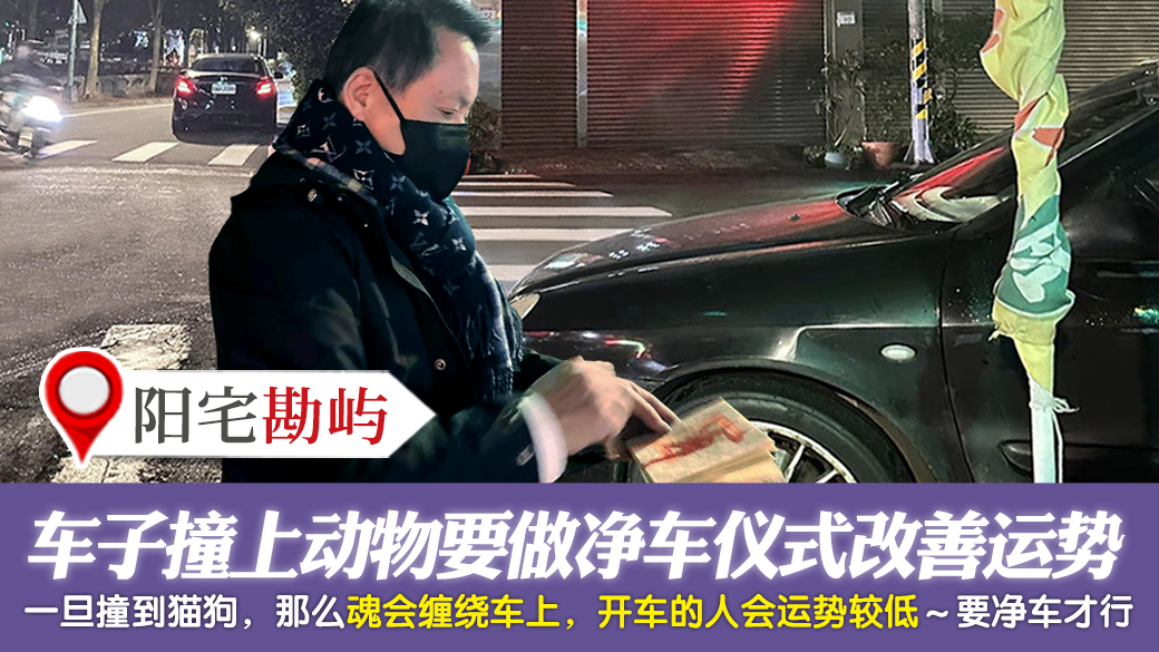 车子撞上动物要做净车仪式改善运势---张定玮老师风水勘屿