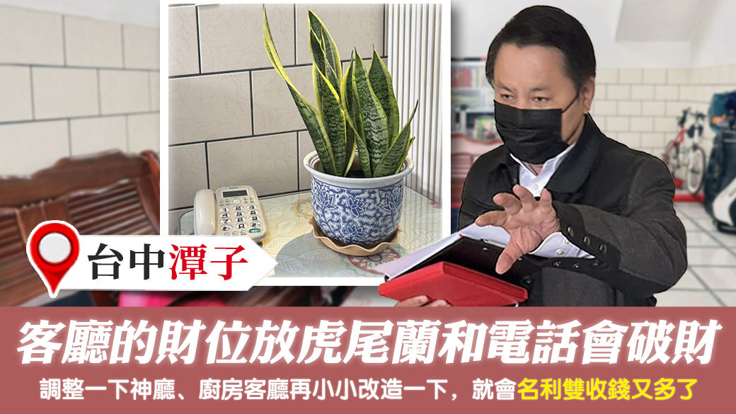 台中潭子-客廳的財位放虎尾蘭和電話會破財---張定瑋老師風水勘嶼